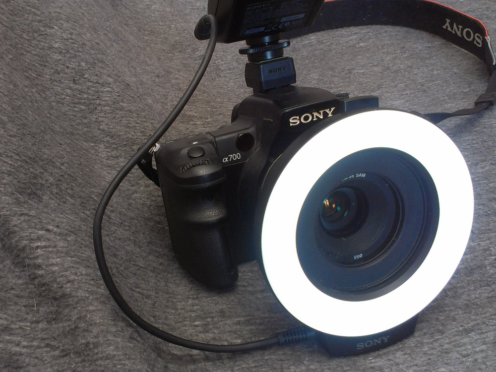 Sony best sale ring light